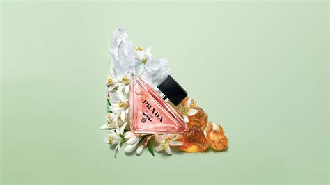 prada flower|Prada floral perfume.